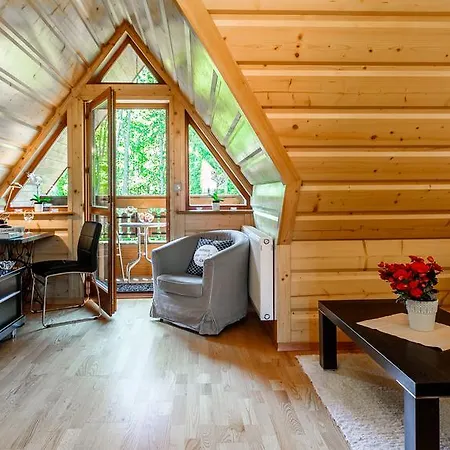 Rent Like - Tetmajera Lejlighed Zakopane