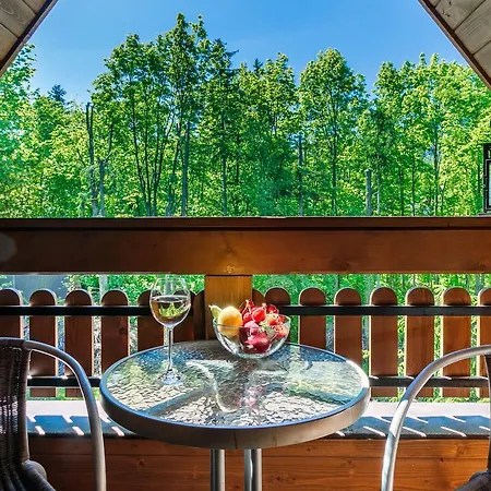 Rent Like - Tetmajera * Zakopane