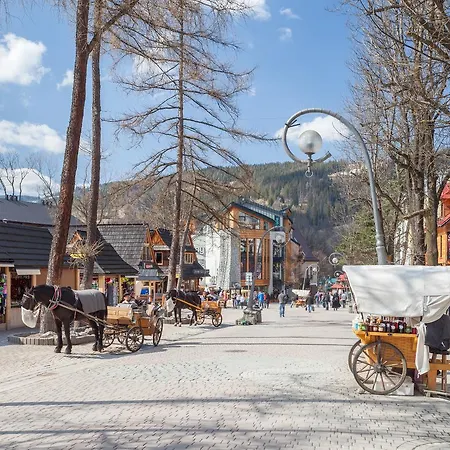 Rent Like - Tetmajera * Zakopane