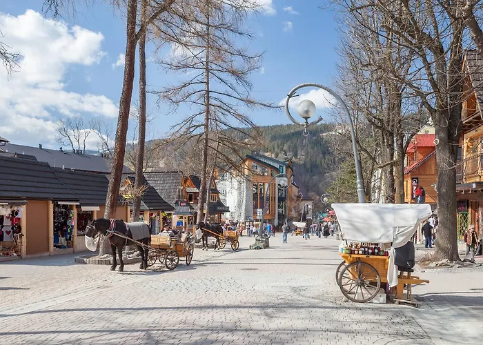 Rent Like - Tetmajera * Zakopane